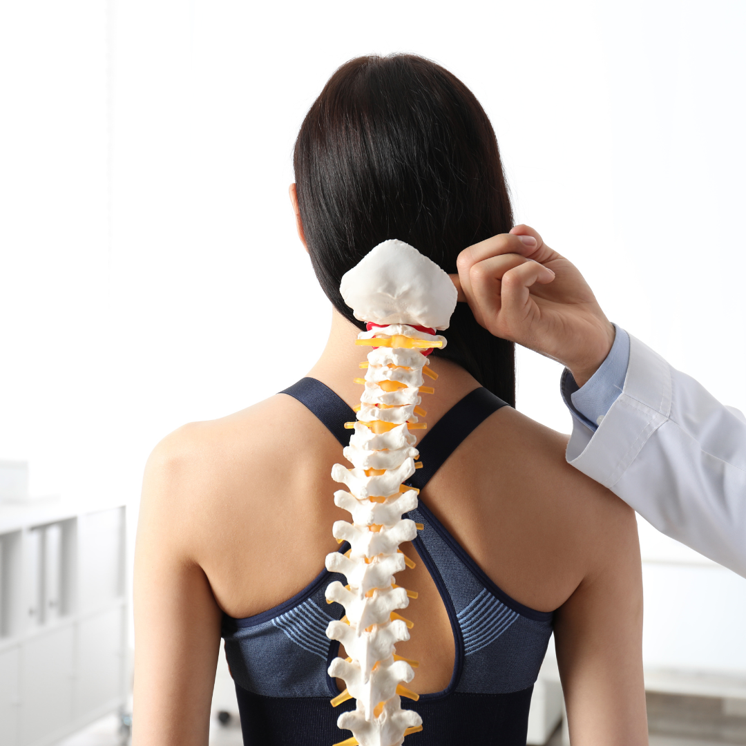 Chiropractic Care